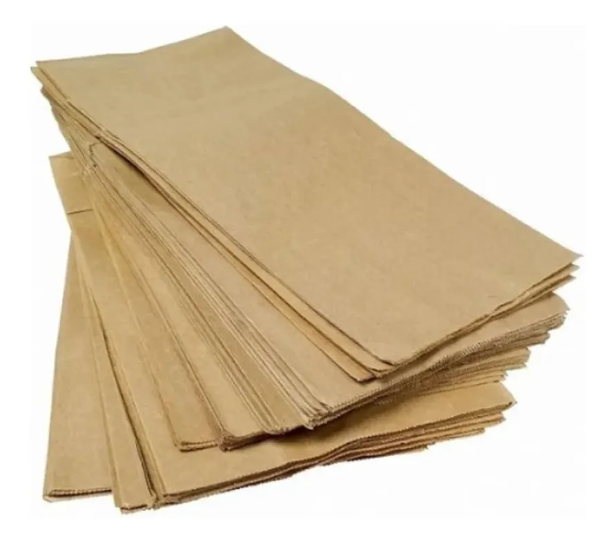 SACO DE PAPEL IEC 5KG C/500