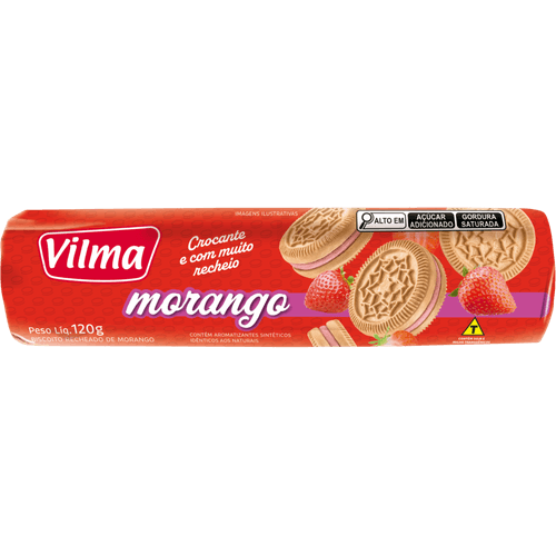 BISC RECH VILMA MORANGO 120G