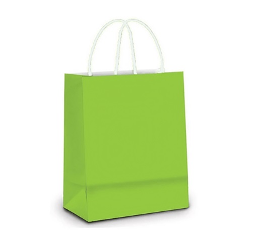 SACO PAPEL LULE VDE LIM 18X09X24CM C/10