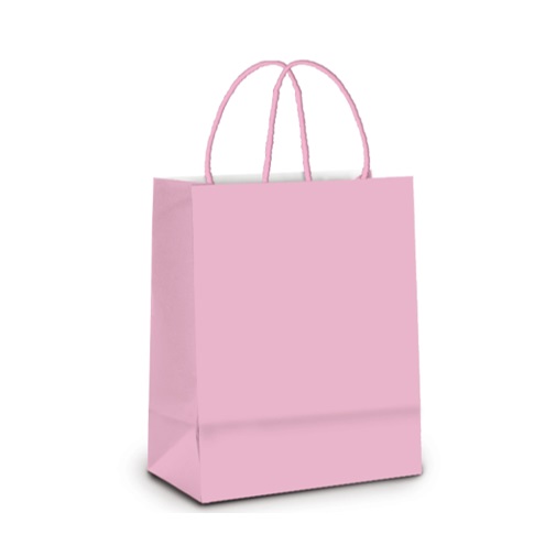 SACO PAPEL LULE ROSA BB 18X09X24CM C/10